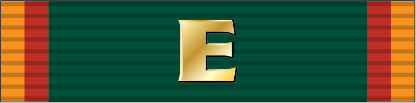 Army Regimental Excellence Award IFE Ribbon.png