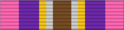 15 - Gold Cross of Courage.png