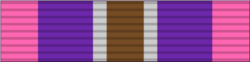 18 - Silver Cross of Courage.png