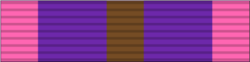 21 - Bronze Cross of Courage.png