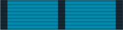 33 - Battle Efficiency Medal.png
