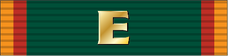 Army Regimental Excellence Award IFE Ribbon.png