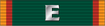 Army Regimental Excellence Award OFA Ribbon.png