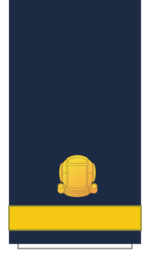 C13 Sleeve-Third Officer.png