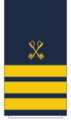 C16 Sleeve-Cruise Director.png
