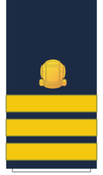 C16 Sleeve-First Officer.png