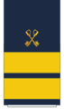 C19H Sleeve-Superintendent.png