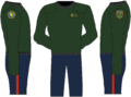 RMA COLDWX trousers TQO Enlisted.png