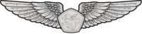 RMN Aerospace Wings Enlisted.png