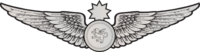 RMN Senior Observer Wings Enlisted.png