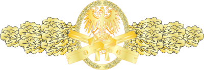 Manticoran Combat Action Medal - Mantipedia