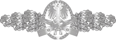 Manticoran Combat Action Medal - Mantipedia