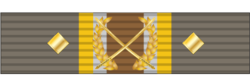 05 - Armsmans Cross with Diamonds.png
