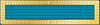 31 - Protectors Unit Citation for Gallantry.png