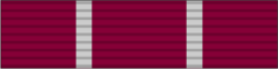 45 - Weapons Medal Qualification Medal.png