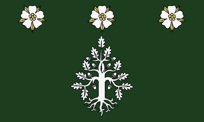 Personal Flag of the Baron Gilwell