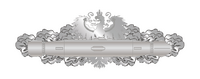 IAN Space Warfare Clasp (Enlisted)