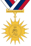 Pmv medal.png