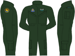 AC flight suit example