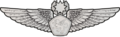 RMN Master Aerospace Wings Enlisted.png