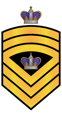 Sleeve insignia of the SMCPON