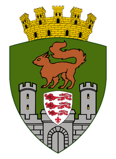 Coat of Arms for the Town of Brownsea